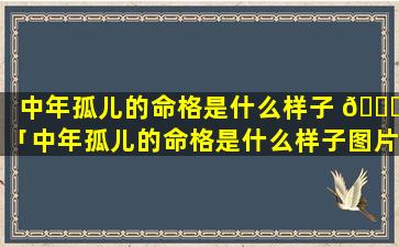 中年孤儿的命格是什么样子 🍀 「中年孤儿的命格是什么样子图片」